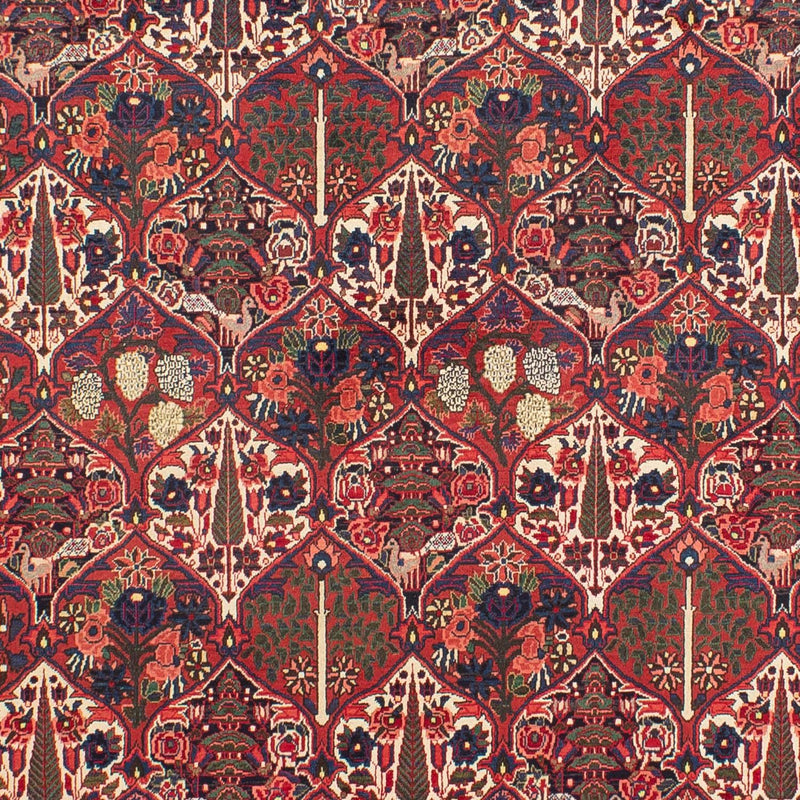 Bakhtiari Tapete 323x210cm - Tapete persa