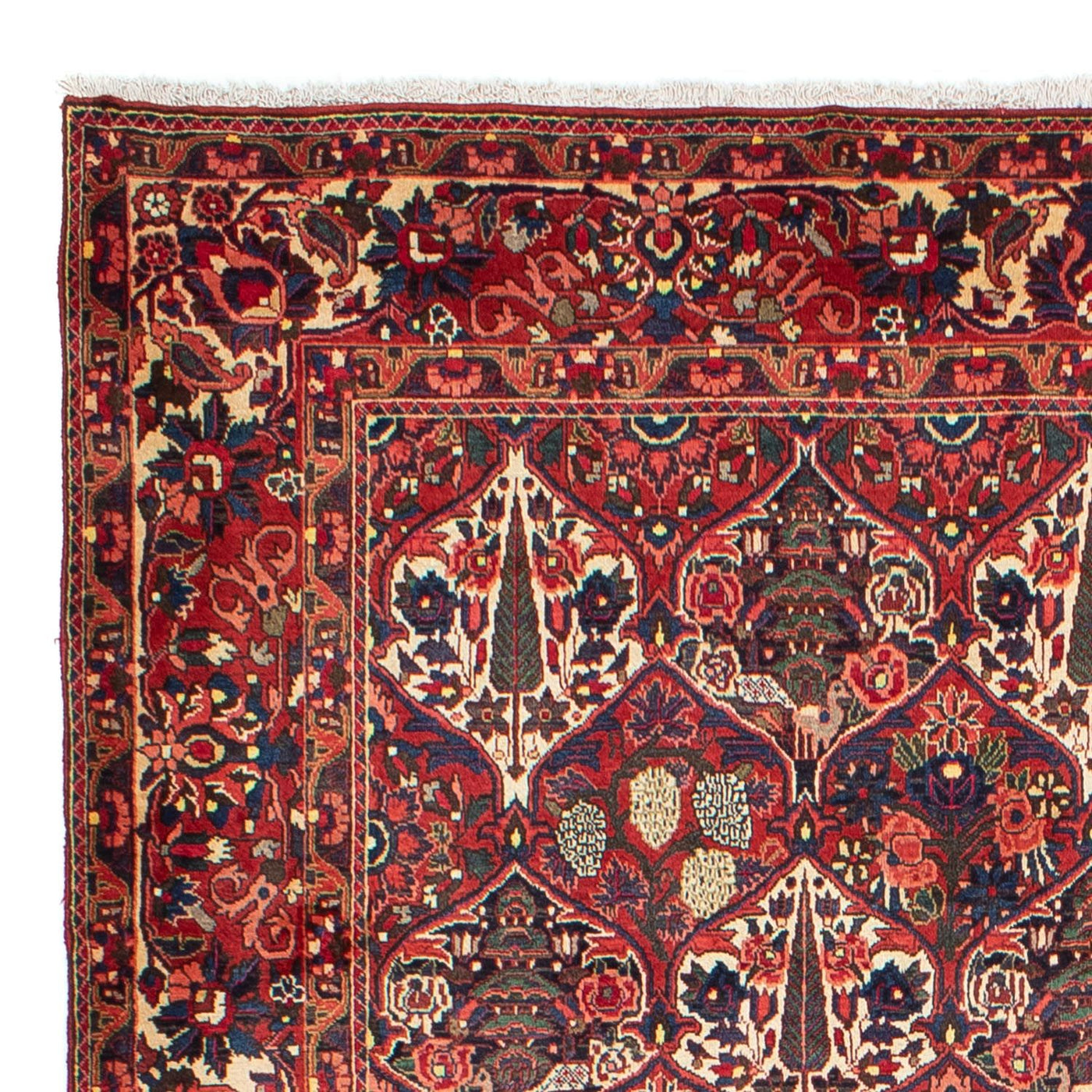 Bakhtiari Tapete 323x210cm - Tapete persa