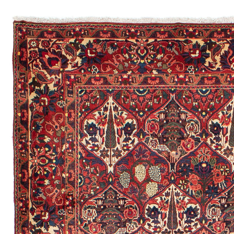 Bakhtiari Tapete 323x210cm - Tapete persa