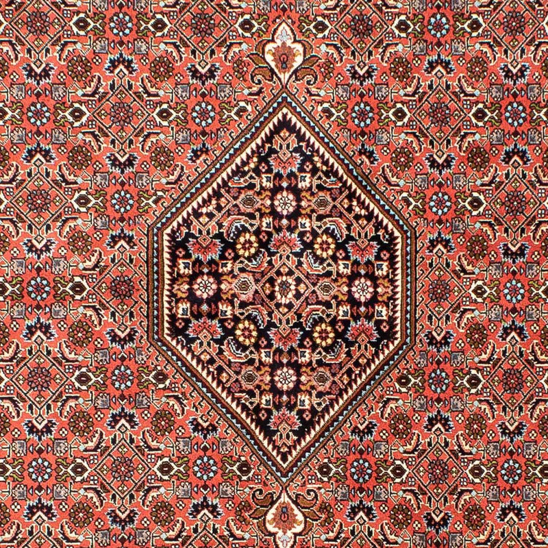 Bidjar Tapete 255x170cm - Tapete persa