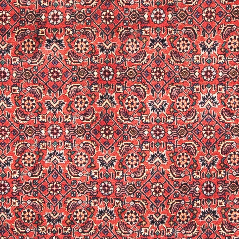Bidjar Tapete 84x138cm - Tapete persa