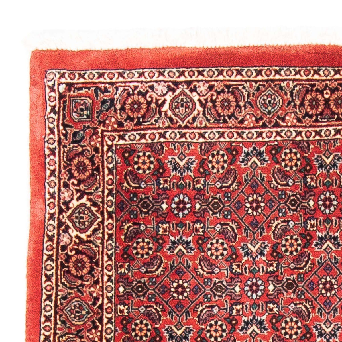 Bidjar Tapete 84x138cm - Tapete persa