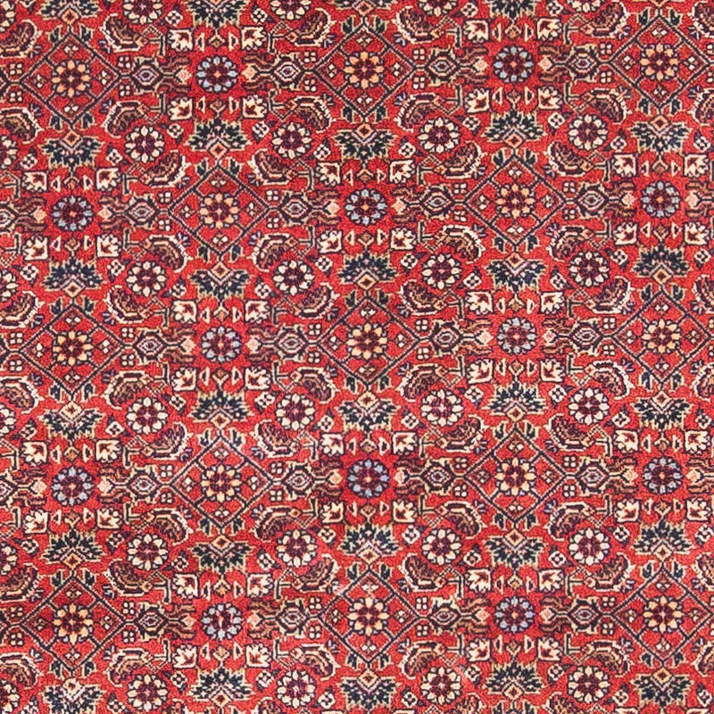 Bidjar Tapete 89x162cm - Tapete persa