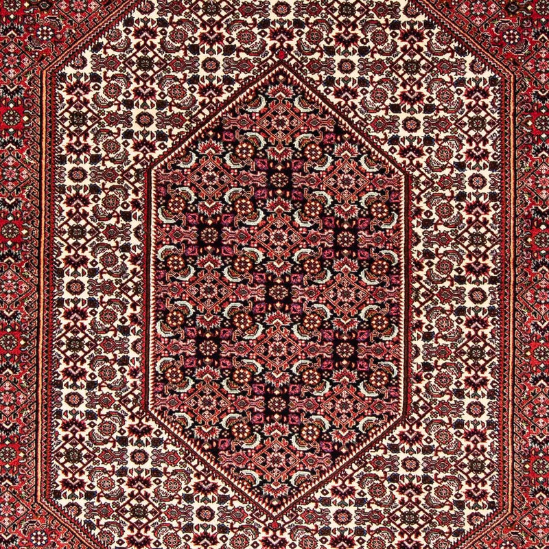 Bidjar Tapete 153x255cm - Tapete persa