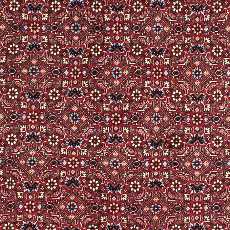Bidjar Tapete 155x155cm - Tapete persa