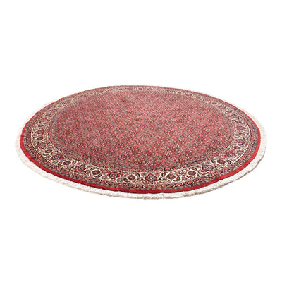 Bidjar Tapete 255x255cm - Tapete persa