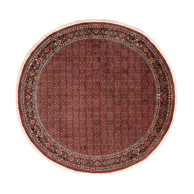 Bidjar Tapete 250x250cm - Tapete persa