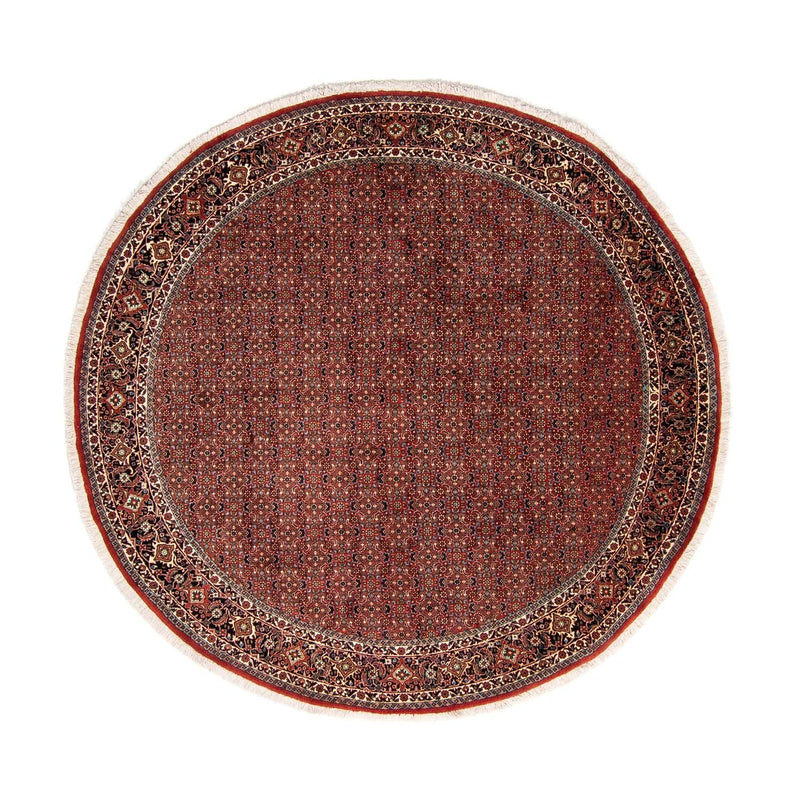 Bidjar Tapete 250x250cm - Tapete persa