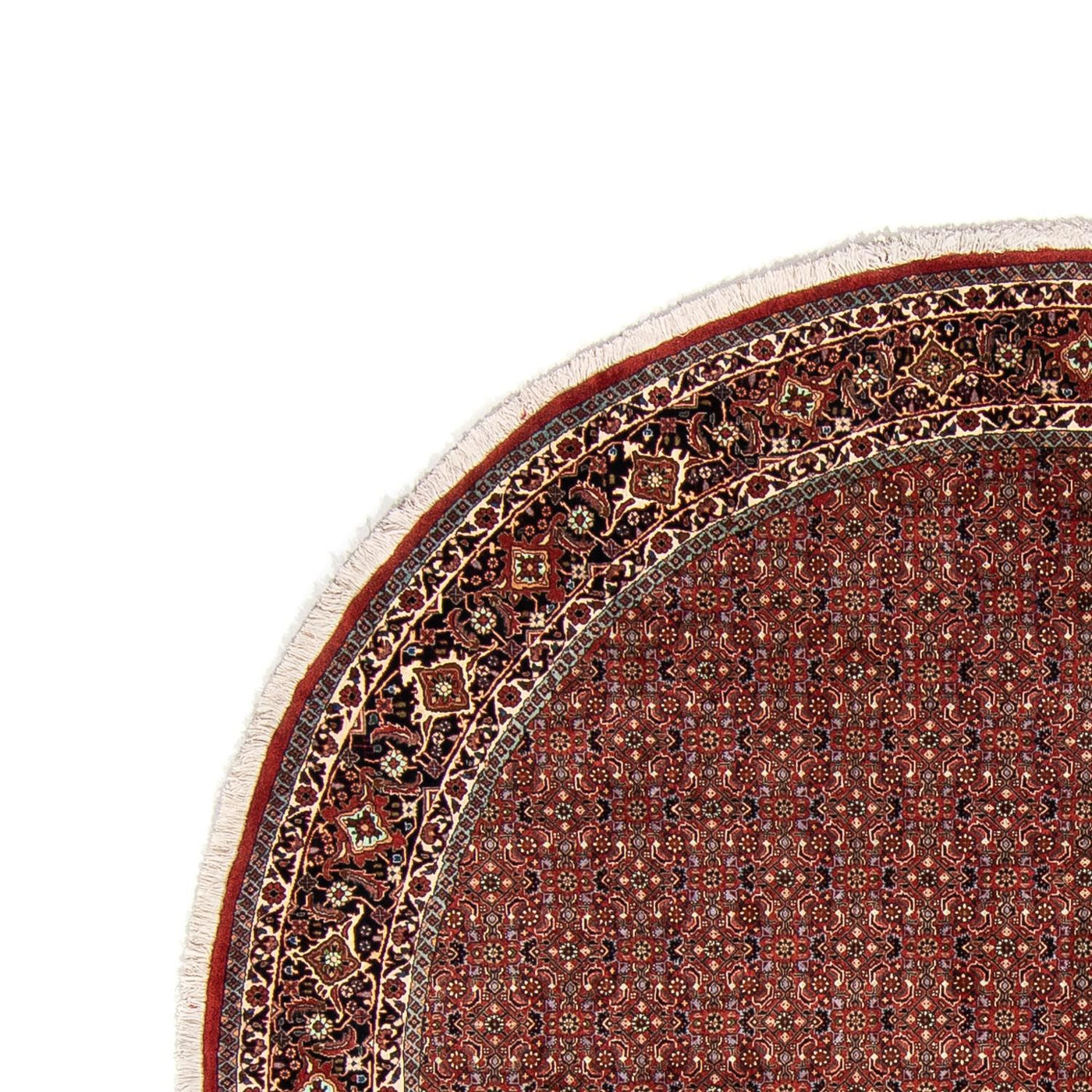 Bidjar Tapete 250x250cm - Tapete persa