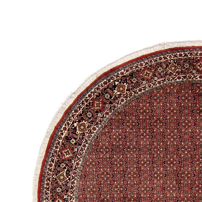 Bidjar Tapete 250x250cm - Tapete persa
