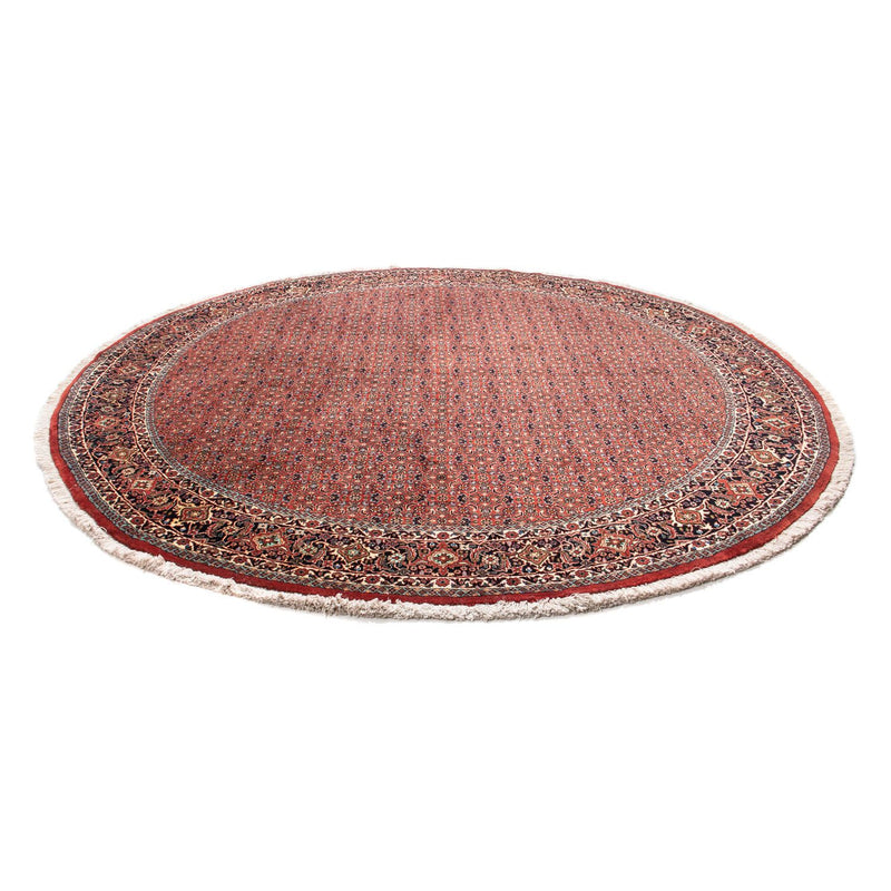 Bidjar Tapete 250x250cm - Tapete persa