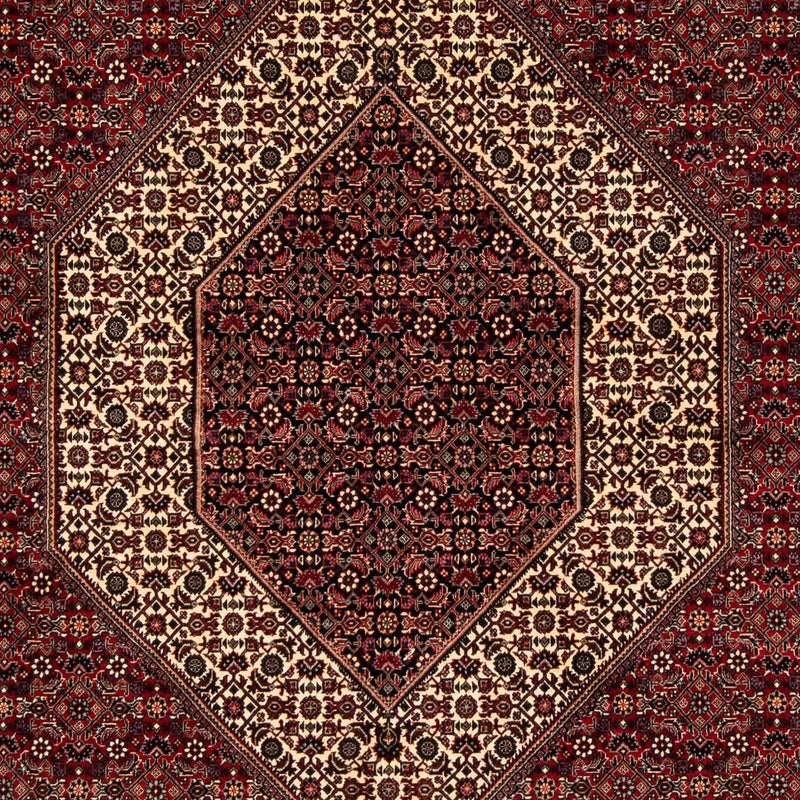 Bidjar Tapete 205x254cm - Tapete persa