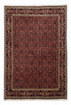 Bidjar Tapete 172x246cm - Tapete persa
