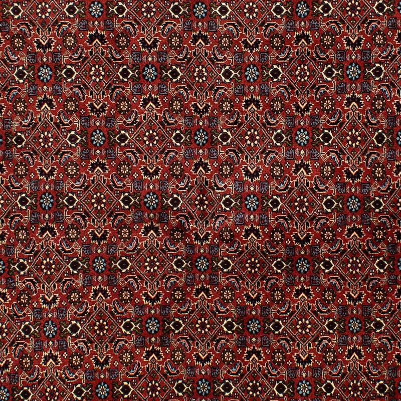 Bidjar Tapete 172x246cm - Tapete persa