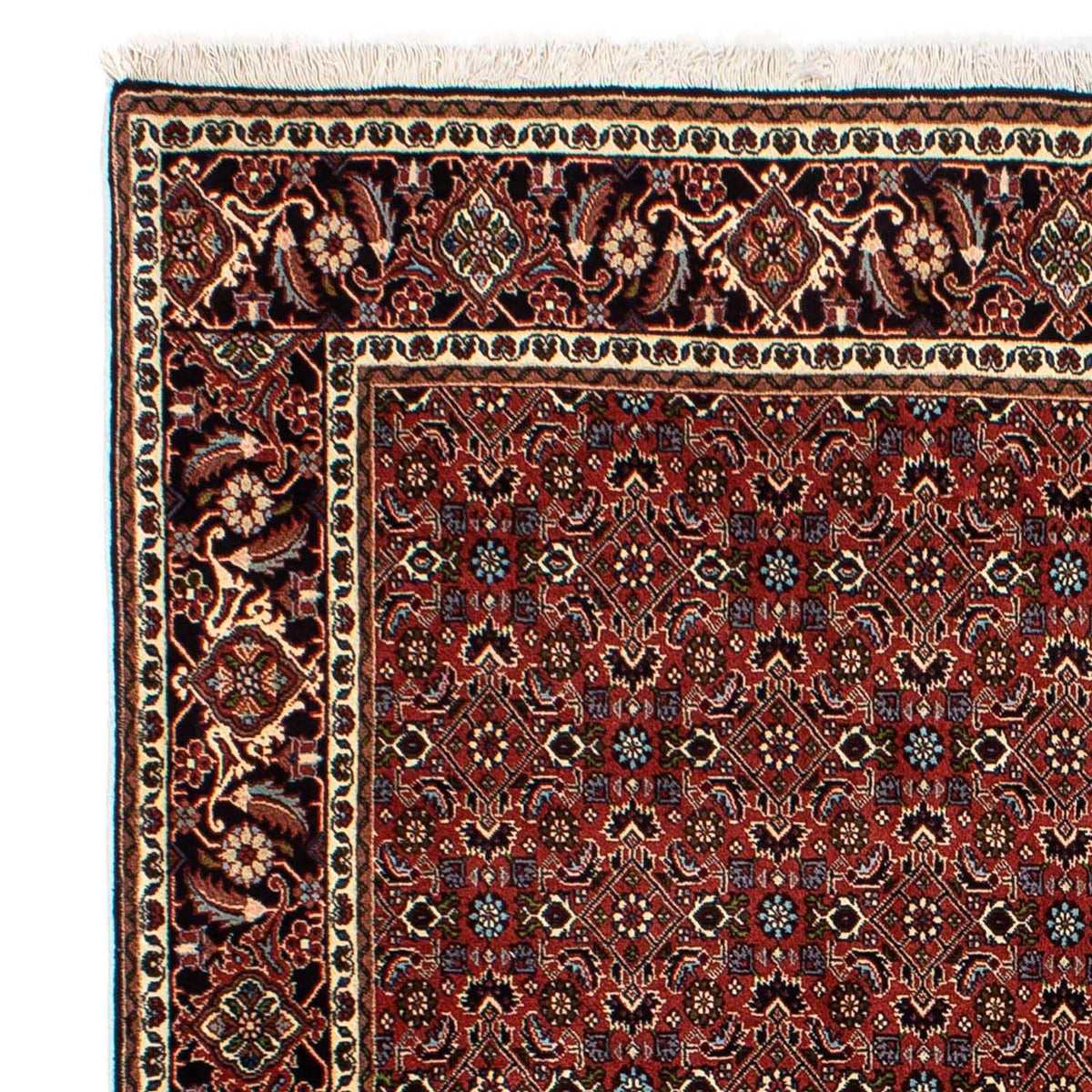 Bidjar Tapete 172x246cm - Tapete persa