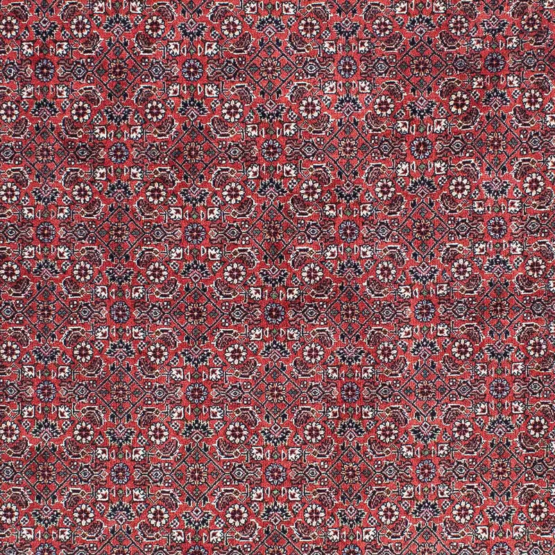 Bidjar Tapete 204x129cm - Tapete persa