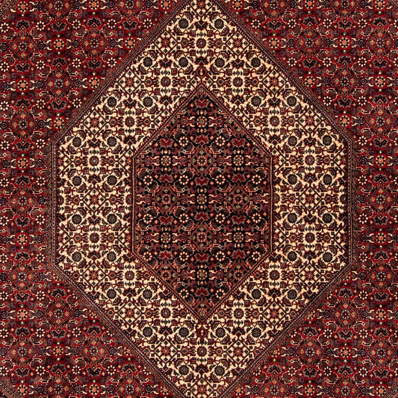 Bidjar Tapete 254x204cm - Tapete persa
