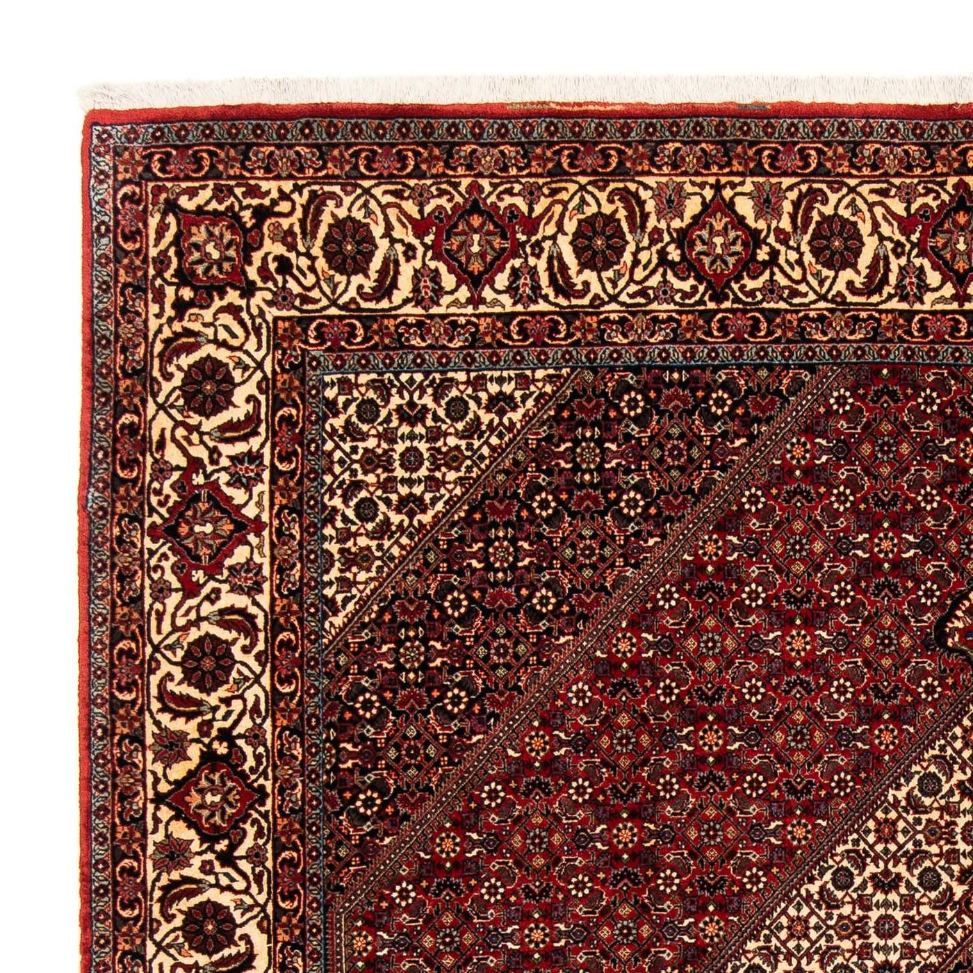Bidjar Tapete 254x204cm - Tapete persa