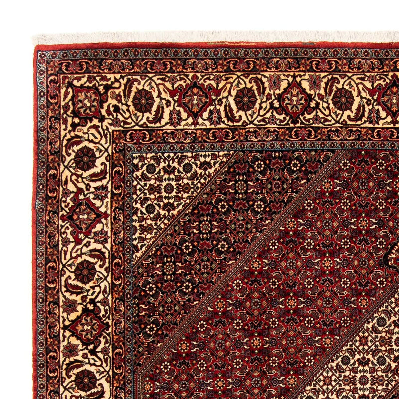 Bidjar Tapete 254x204cm - Tapete persa