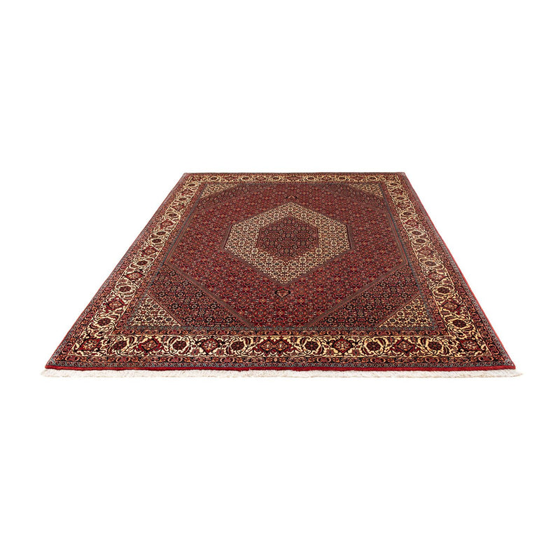 Bidjar Tapete 254x204cm - Tapete persa