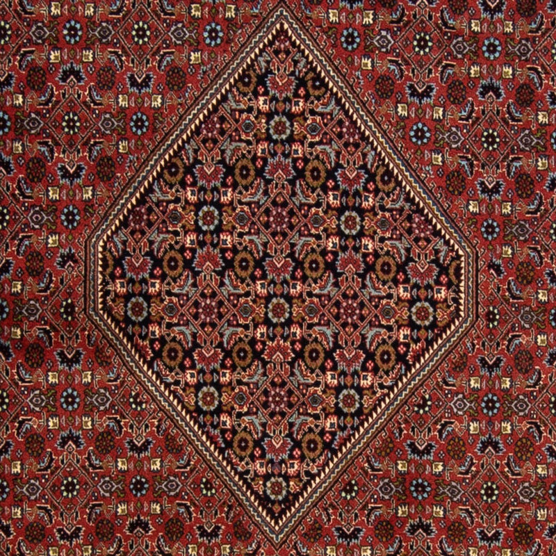 Bidjar Tapete 250x337cm - Tapete persa
