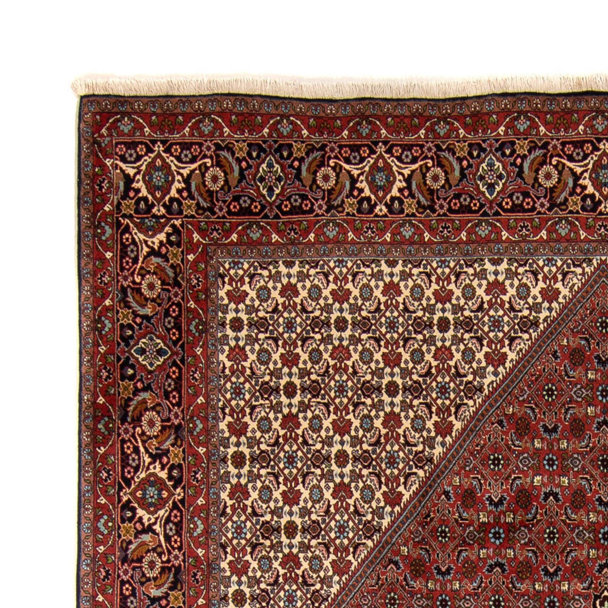 Bidjar Tapete 250x337cm - Tapete persa