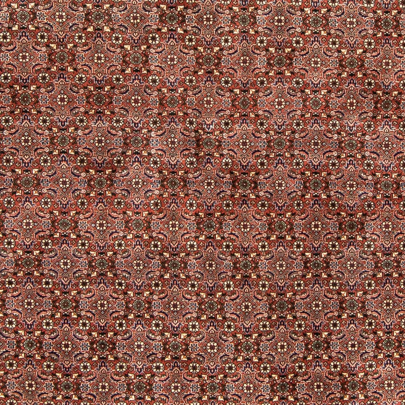 Tapete Persa - Bijar - 235 x 167 cm - vermelho claro