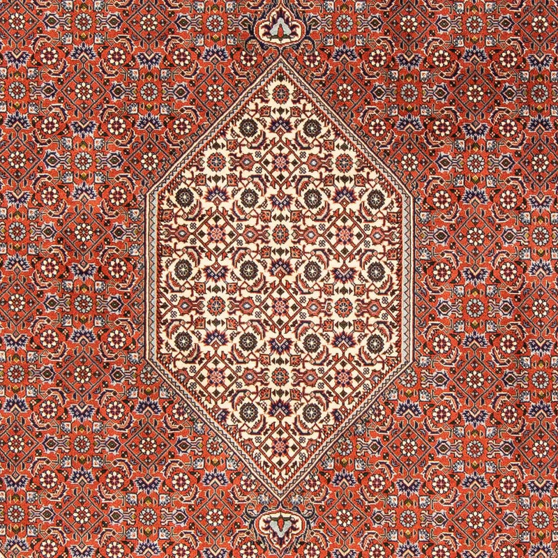 Bidjar Teppich 245x167cm - Perserteppich