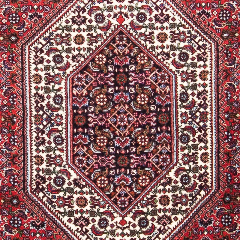 Bidjar Tapete 154x90cm - Tapete persa