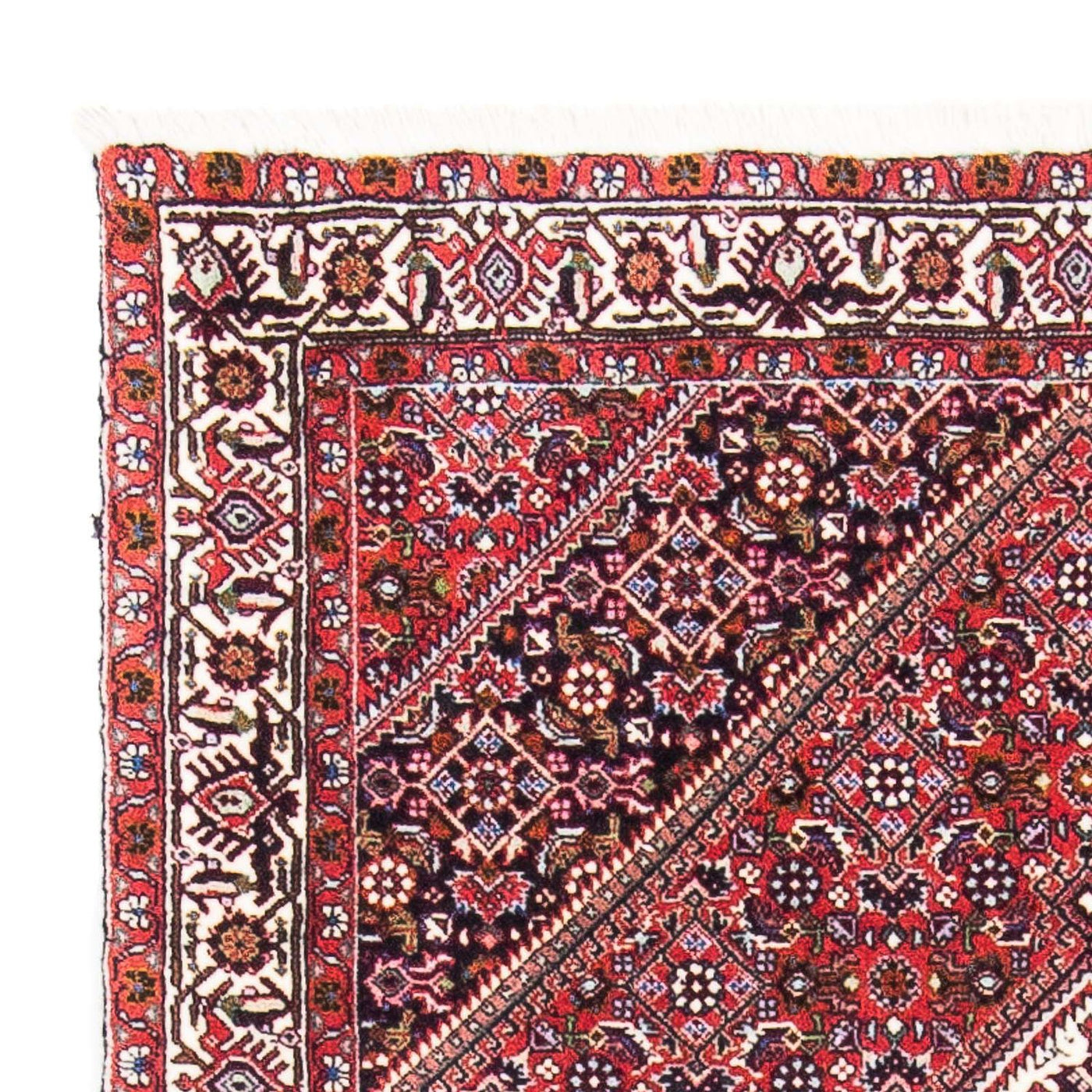 Bidjar Tapete 154x90cm - Tapete persa