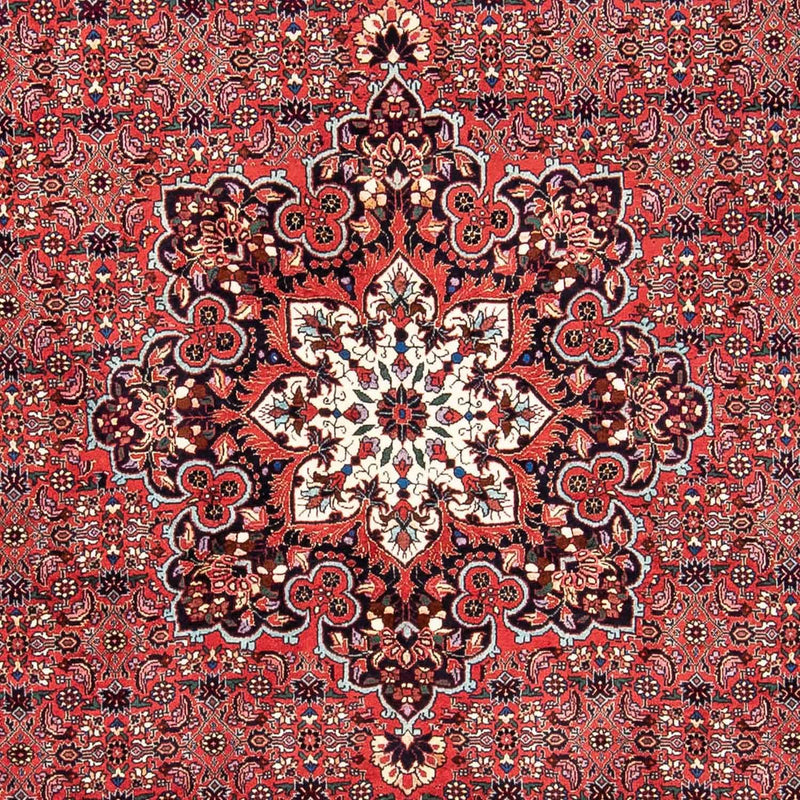 Bidjar Tapete 240x170cm - Tapete persa