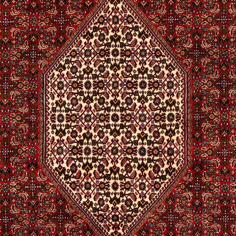 Bidjar Tapete 263x164cm - Tapete persa