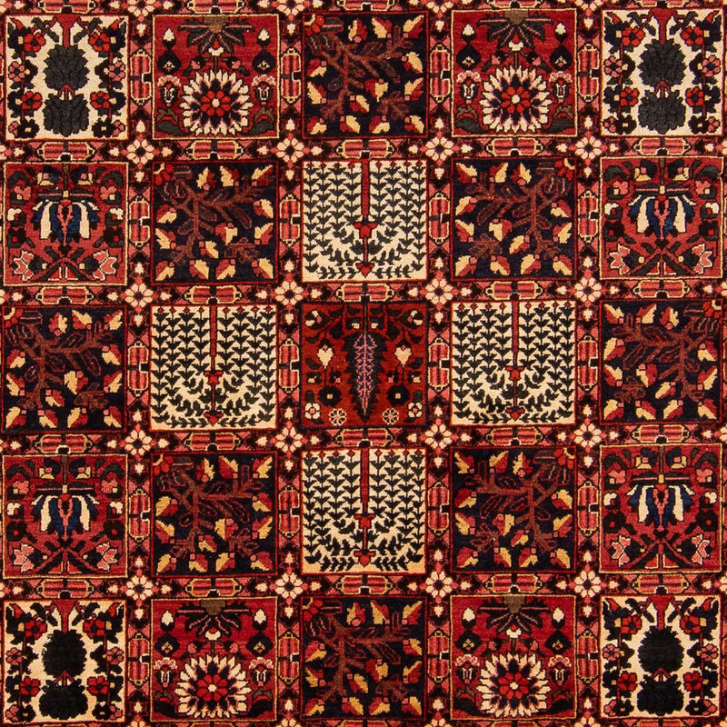 Bakhtiari Tapete 365x265cm - Tapete persa
