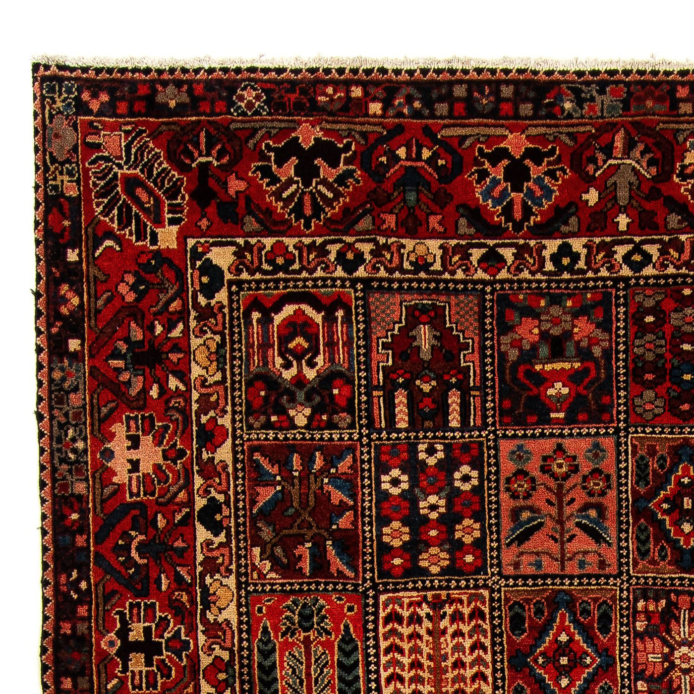 Bakhtiari Tapete 351x302cm - Tapete persa