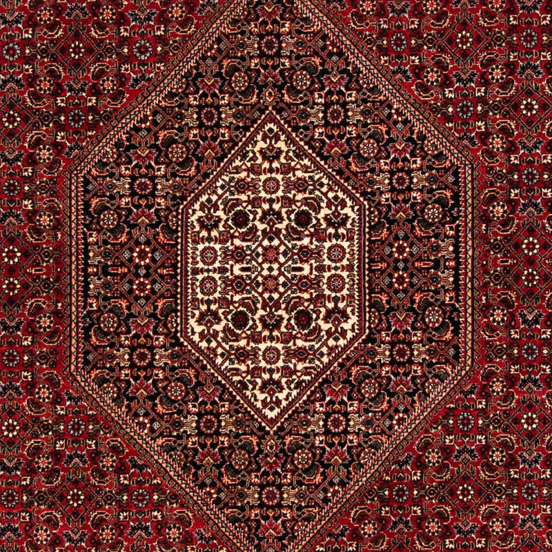 Bidjar Tapete 261x164cm - Tapete persa