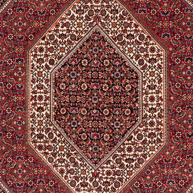 Bidjar Tapete 173x237cm - Tapete persa