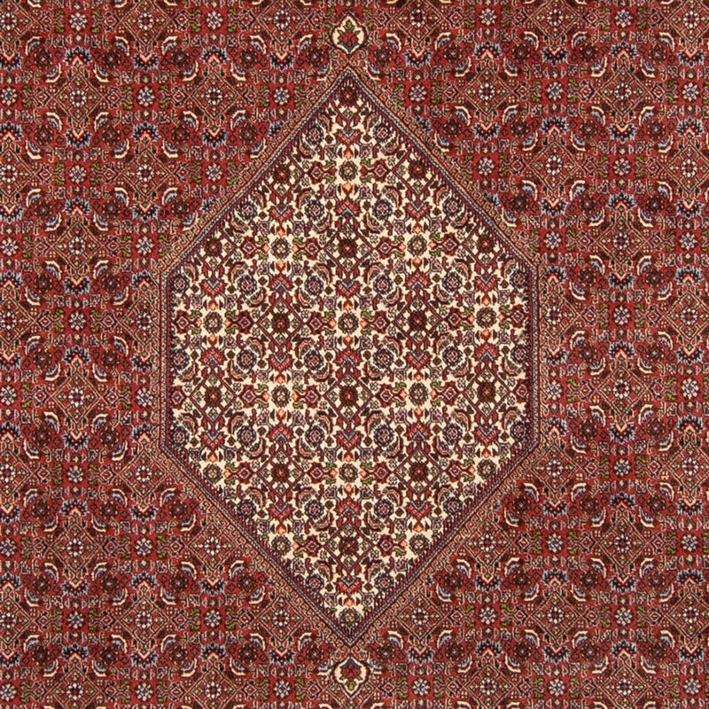 Bidjar Tapete 250x358cm - Tapete persa