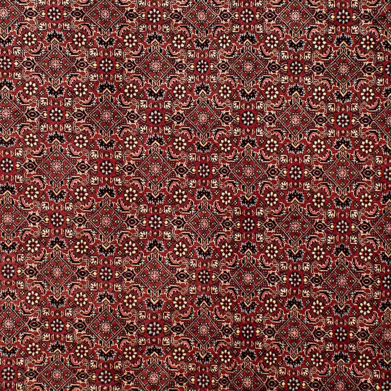 Bidjar Tapete 290x195cm - Tapete persa
