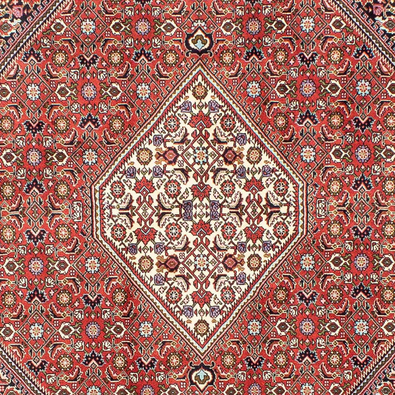 Bidjar Tapete 173x240cm - Tapete persa