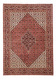 Bidjar Tapete 250x175cm - Tapete persa