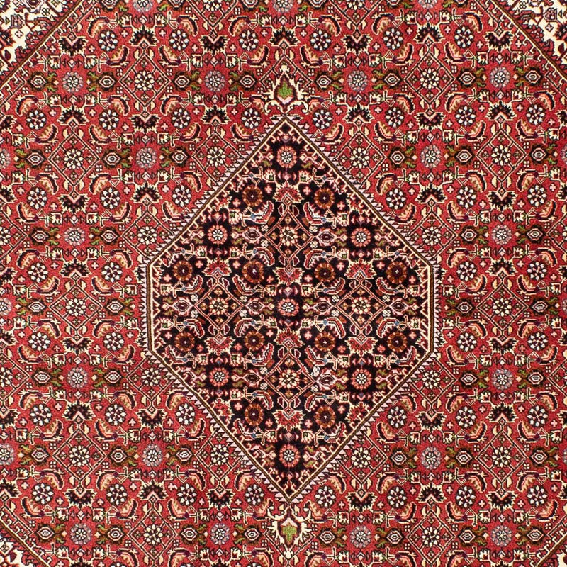 Bidjar Tapete 250x175cm - Tapete persa
