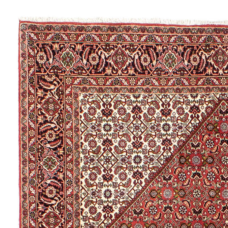 Bidjar Tapete 250x175cm - Tapete persa