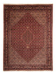 Bidjar Tapete 248x338cm - Tapete persa - castanho