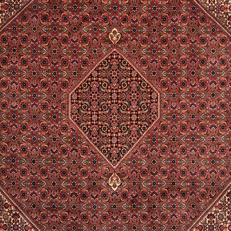 Bidjar Tapete 248x338cm - Tapete persa - castanho