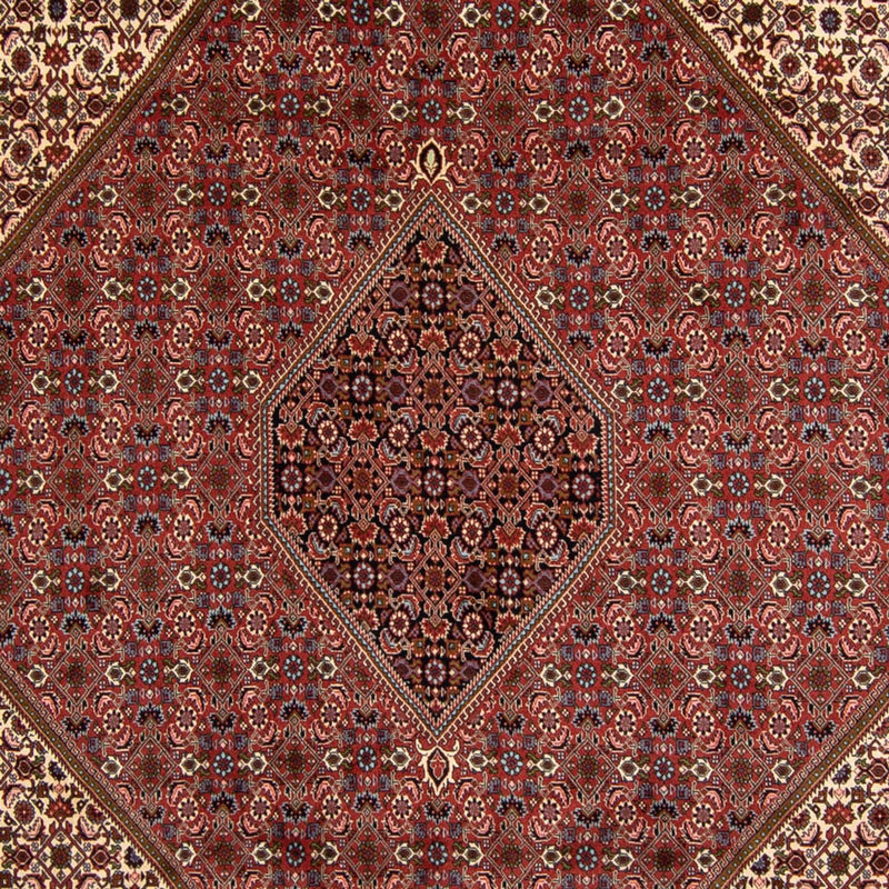 Bidjar Tapete 340x252cm - Tapete persa