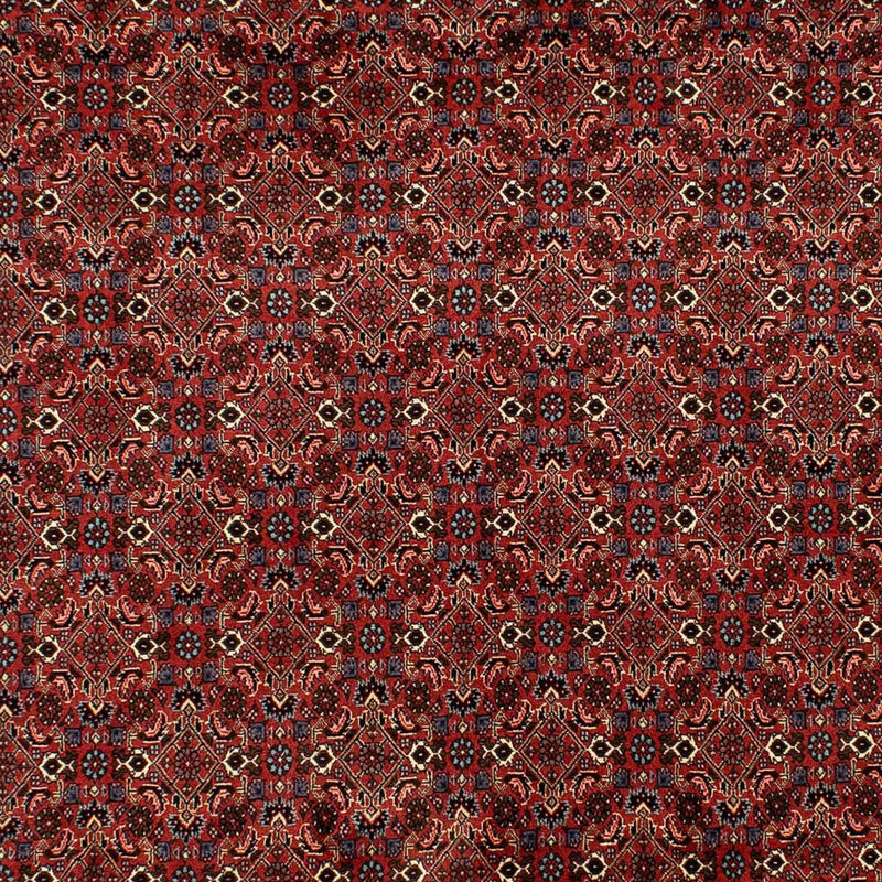 Bidjar Tapete 284x200cm - Tapete persa