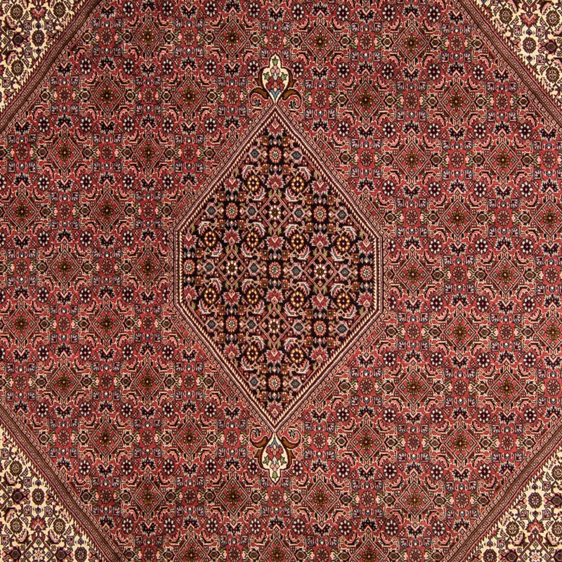 Bidjar Tapete 350x245cm - Tapete persa