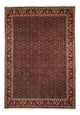 Bidjar Tapete 245x345cm - Tapete persa