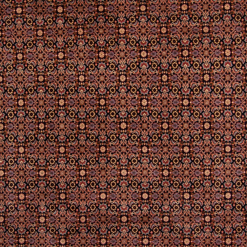 Bidjar Tapete 245x345cm - Tapete persa