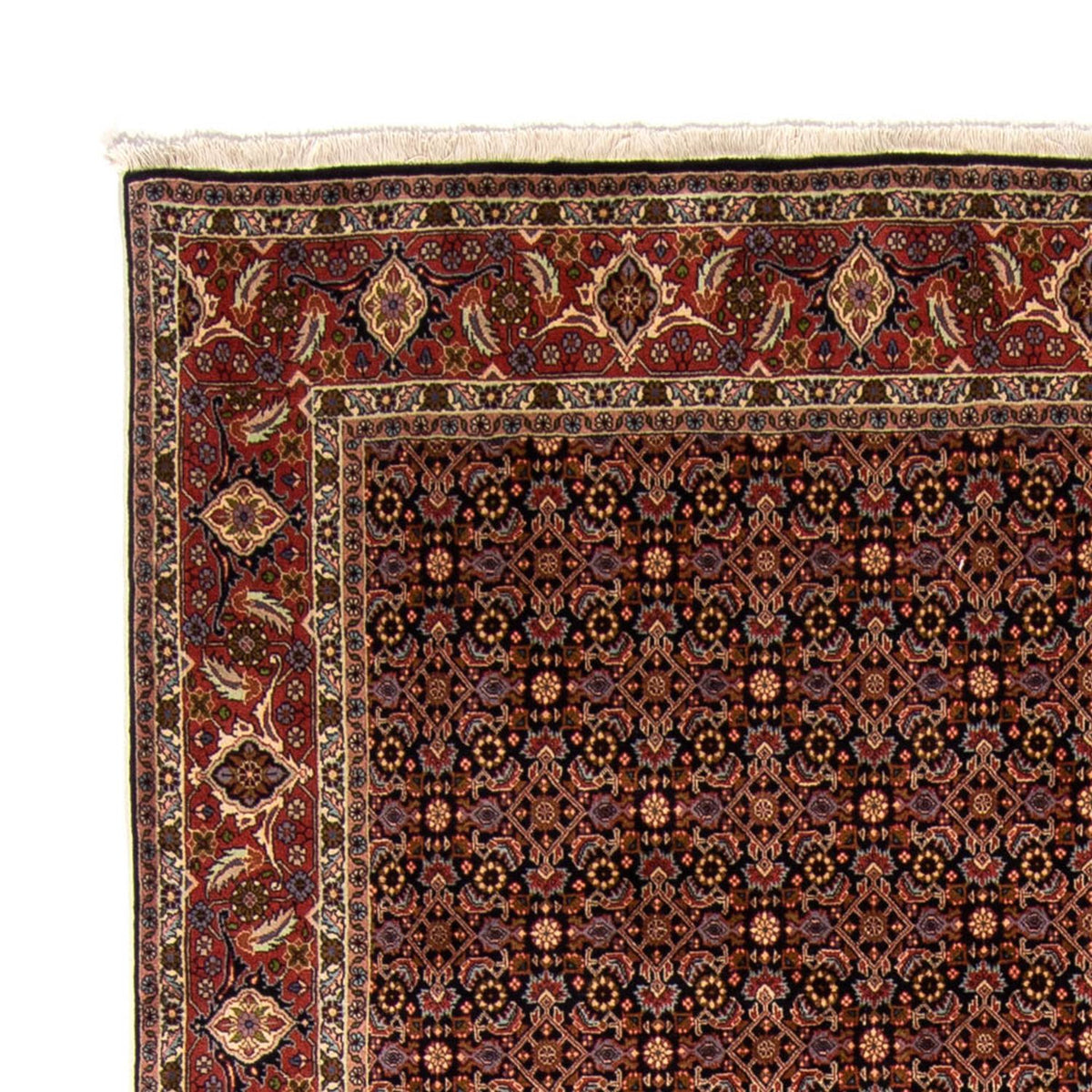 Bidjar Tapete 245x345cm - Tapete persa